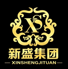 新盛官方LOGO-专业服务品牌标识